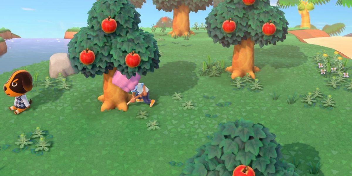 Um jogador desenterra uma árvore em Animal Crossing New Horizons
