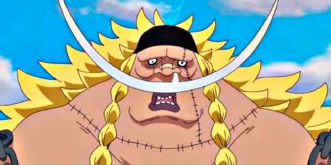 One Piece: 14 personagens que podem rivalizar com o Yonkou, classificado