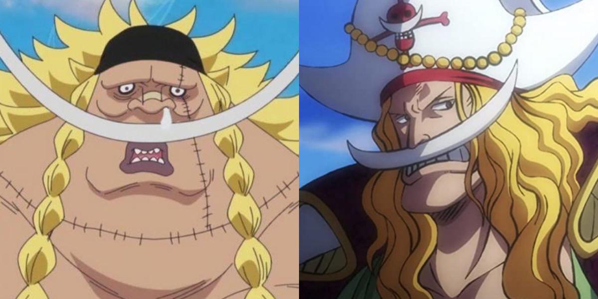 One Piece: a conexão de Edward Weevil com Barba Branca, explicada