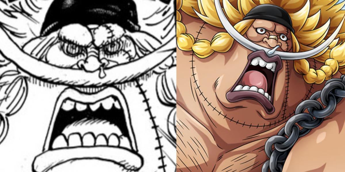 One Piece: A força de Edward Weevil, explicada