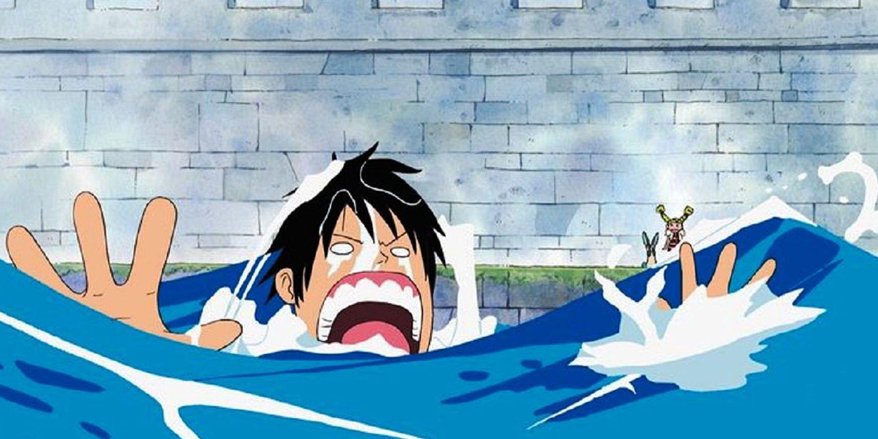 One Piece: Fraqueza de todos os usuários de Akuma no Mi (e como superá-la)