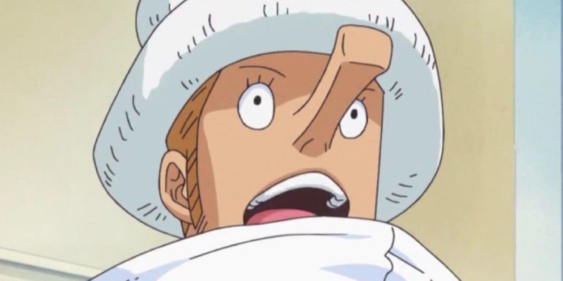 One Piece: O Despertar de Kaku, Explicado