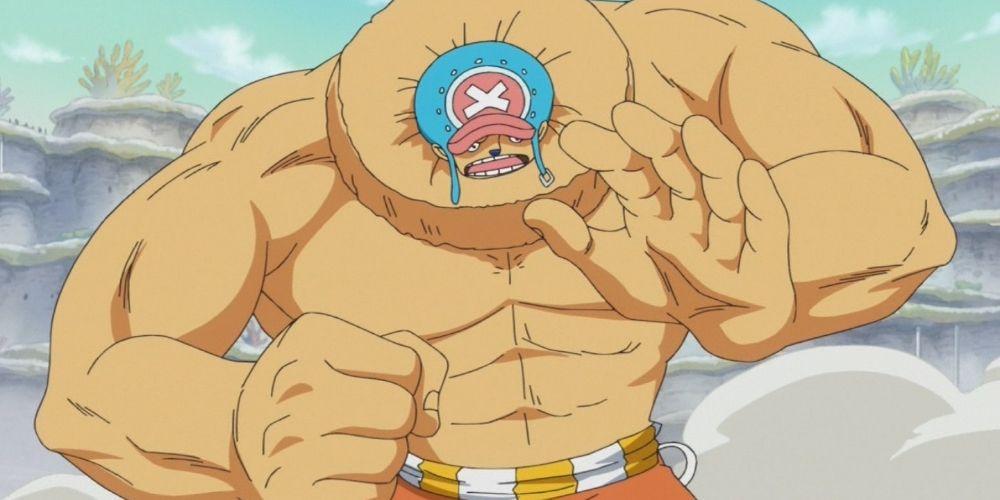One Piece Hito Hito no Mi Tony Tony Chopper Chapéu de Palha Akuma no Mi