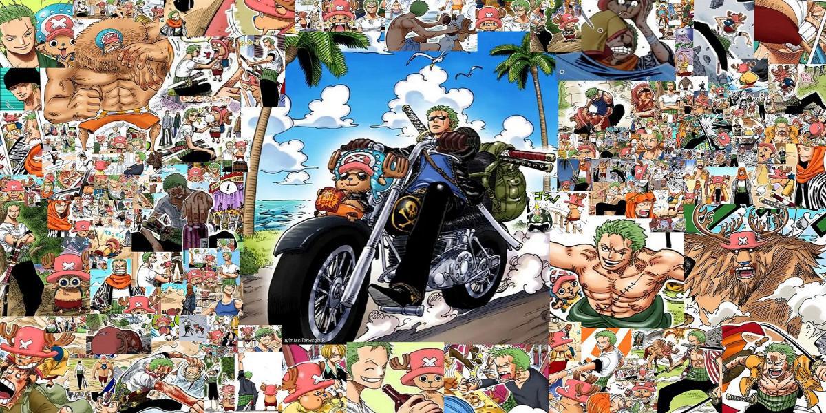 One Piece: um olhar mais atento sobre o bromance subestimado de Zoro e Chopper