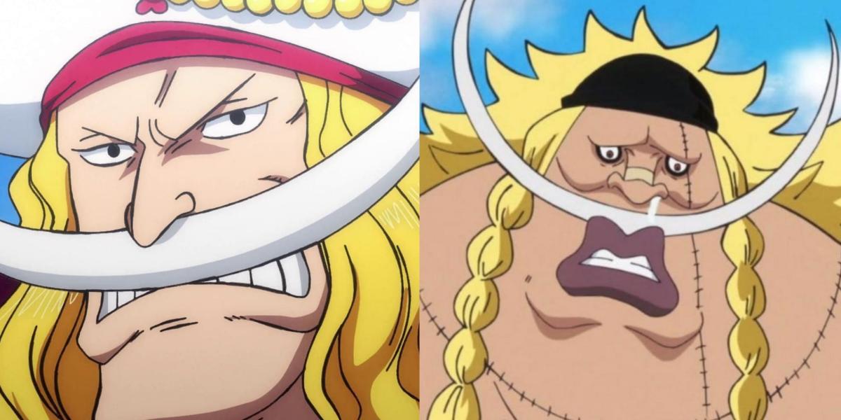 One Piece: Weevil é realmente o filho de Barba Branca?
