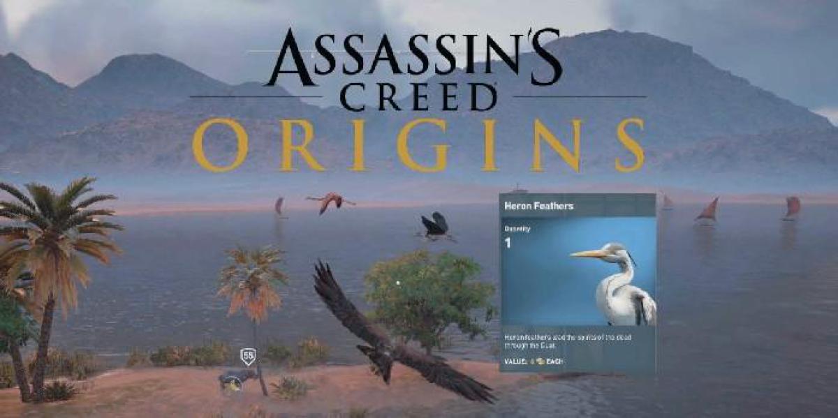 Origens de Assassin s Creed: onde encontrar penas de garça