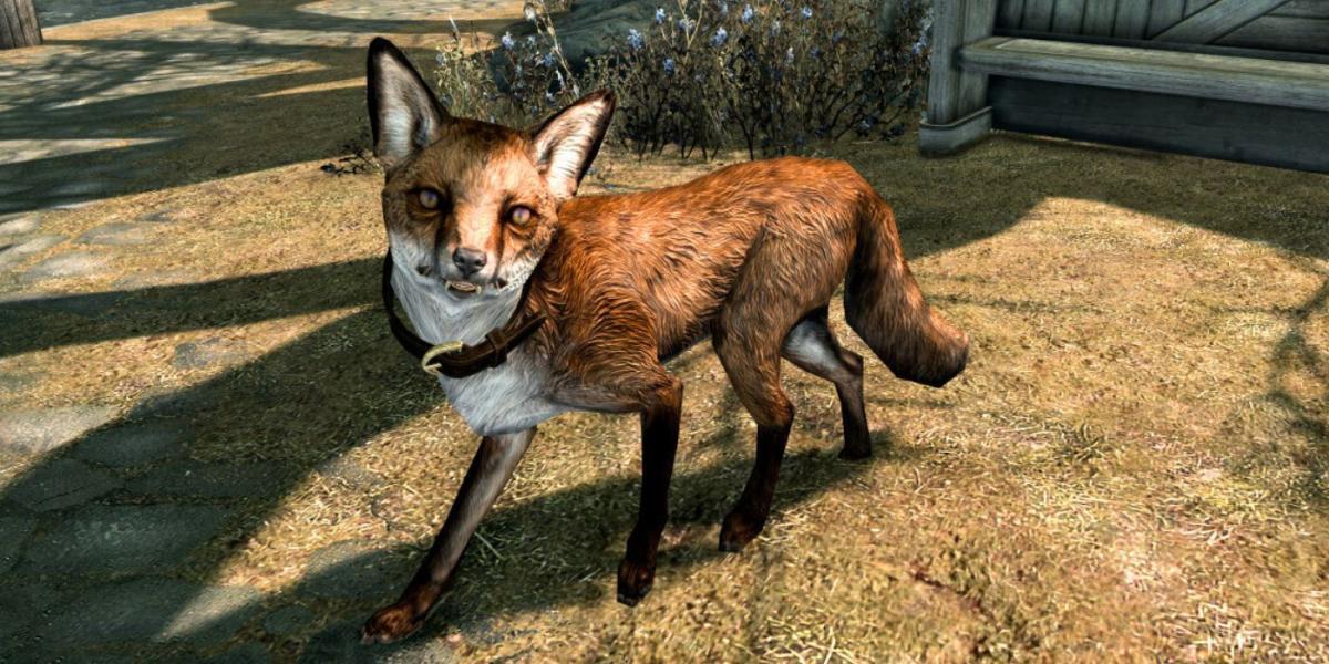 Mascote Skyrim Sweet Roll Fox