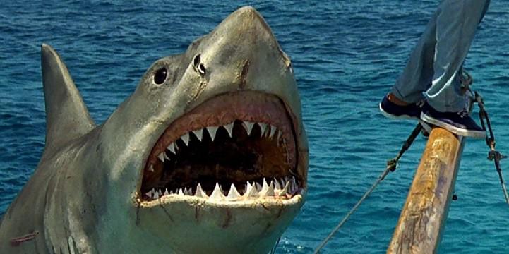 Os melhores filmes de tubarão assassino contra todos os maxilares (de acordo com o Rotten Tomatoes)