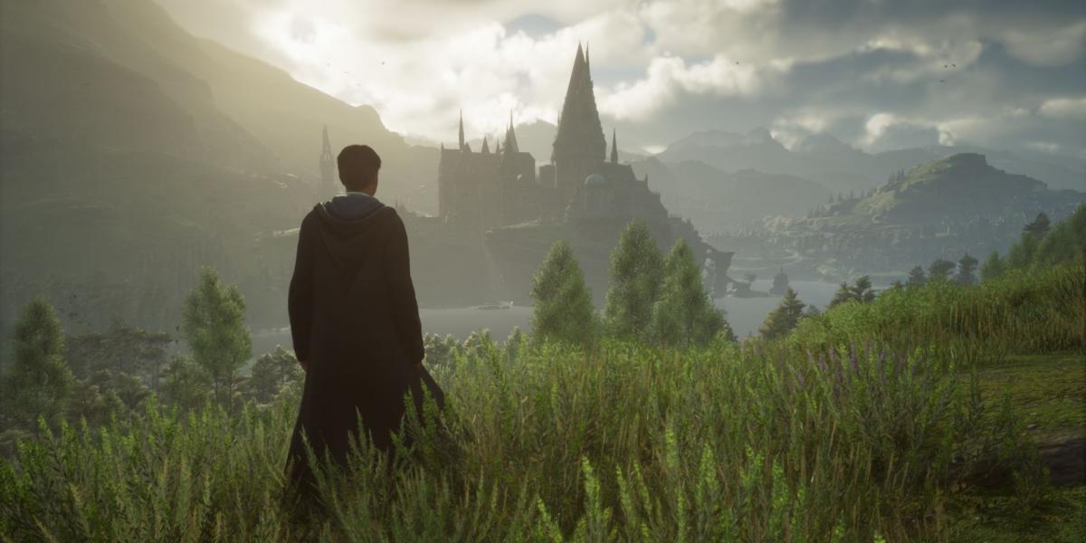 Mago do Legado de Hogwarts parado no campo olhando para o Castelo de Hogwarts na primavera
