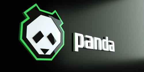 Panda Esports Team remove Alan como CEO