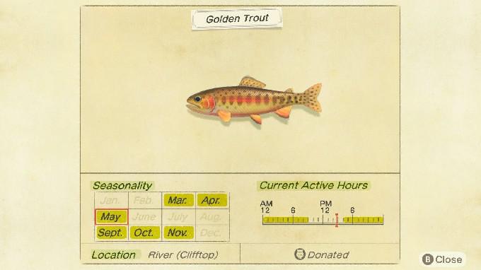 Pegue estes animais Crossing: New Horizons Fish antes do fim de maio