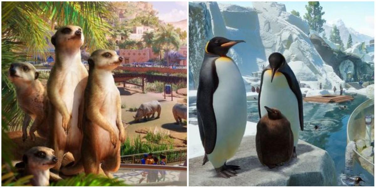 Planet Zoo: os 7 melhores pacotes de DLC, classificados
