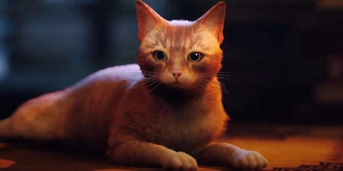 PlayStation doará fundos e vídeos de animais de estimação de fãs perdidos para ASPCA