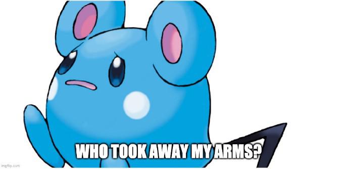 Pokemon: 10 memes hilários da geração III que apenas os verdadeiros fãs entendem