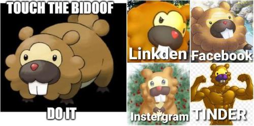 Pokemon GO: 10 memes hilariantes do dia do Bidoof