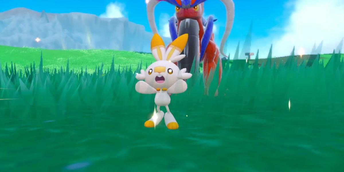 Pokemon Scarlet and Violet Player finalmente obtém Scorbunny brilhante depois de chocar mais de 100 ovos