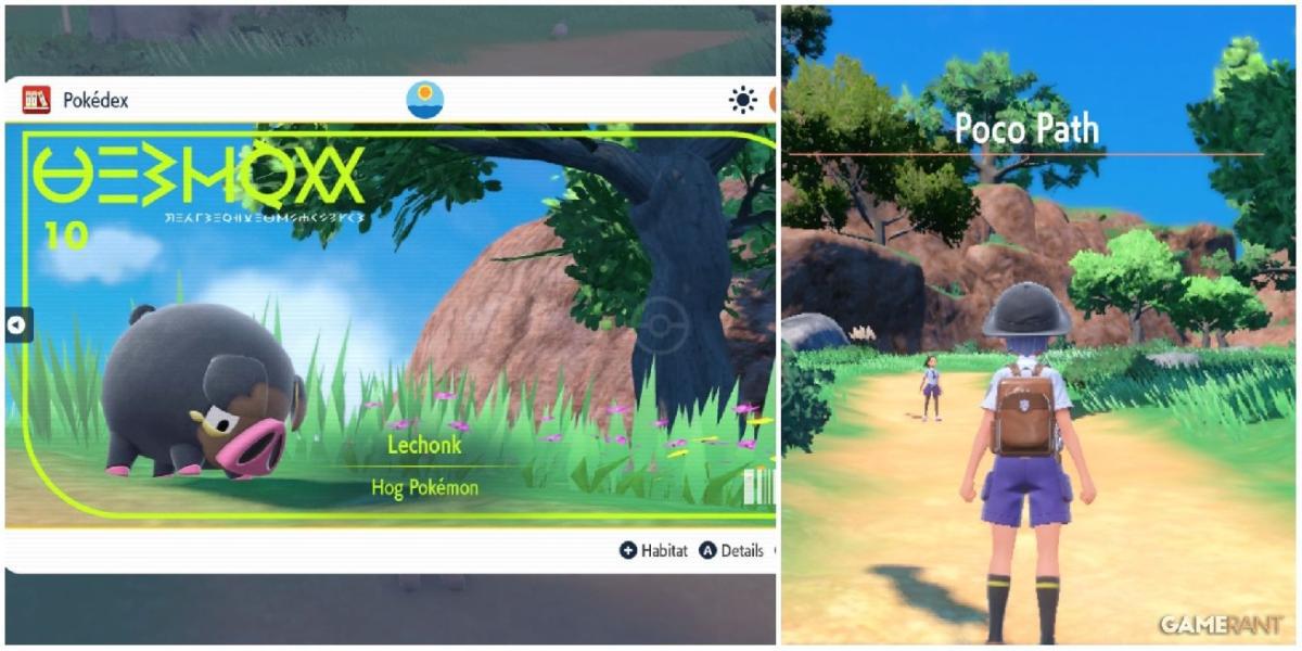 Pokemon Scarlet & Violet: Como capturar Lechonk e evoluí-lo para Oinkologne