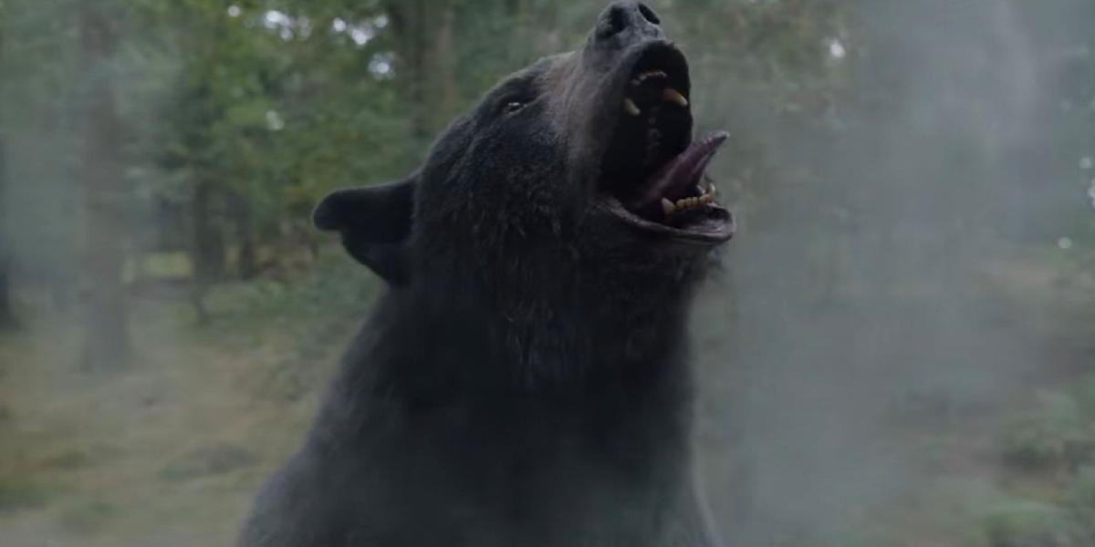Primeiro trailer de urso de cocaína provoca um urso movido a drogas em um tumulto