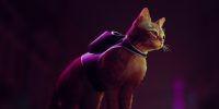 PS5 Cat Game Stray compartilha novos detalhes
