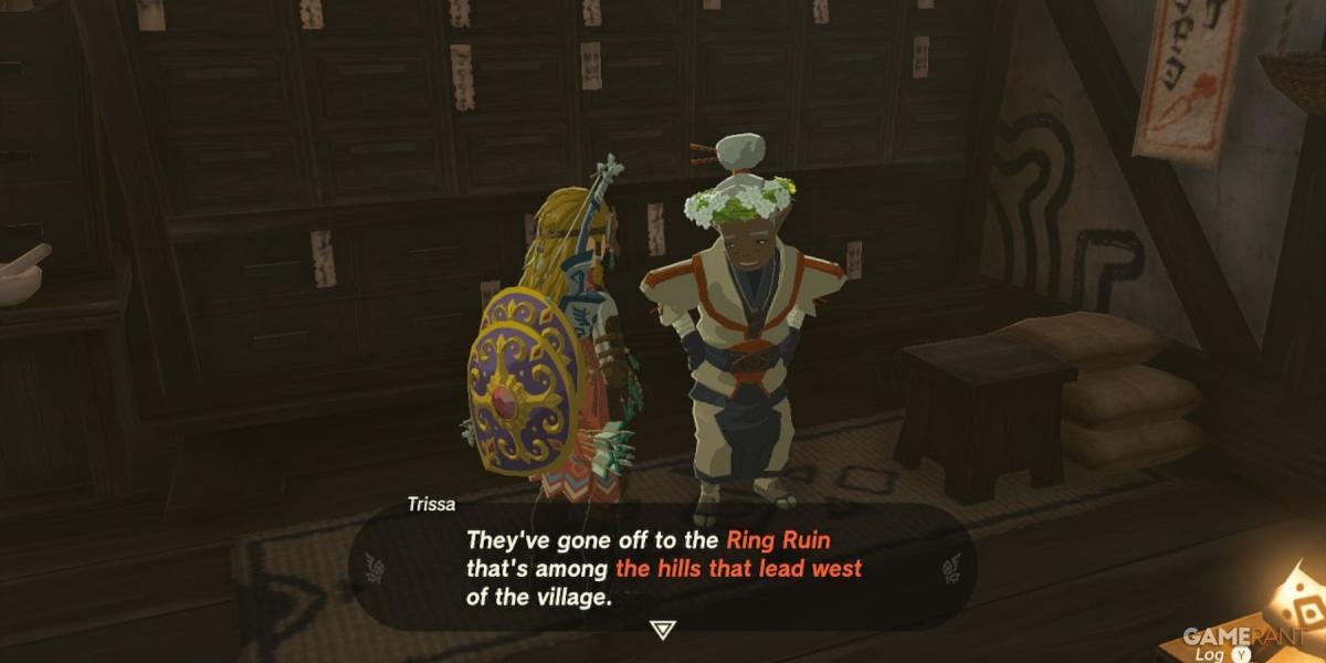 A Lenda de Zelda: Lágrimas do Reino Início da Briga dos Codgers