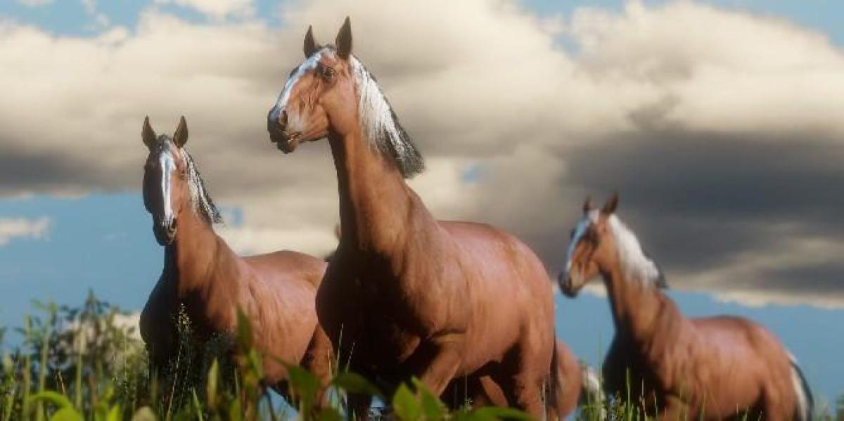 Red Dead Online: Os 5 melhores cavalos (e os 5 piores)
