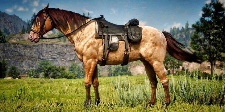 Red Dead Online: Os 7 cavalos mais caros e valem a pena