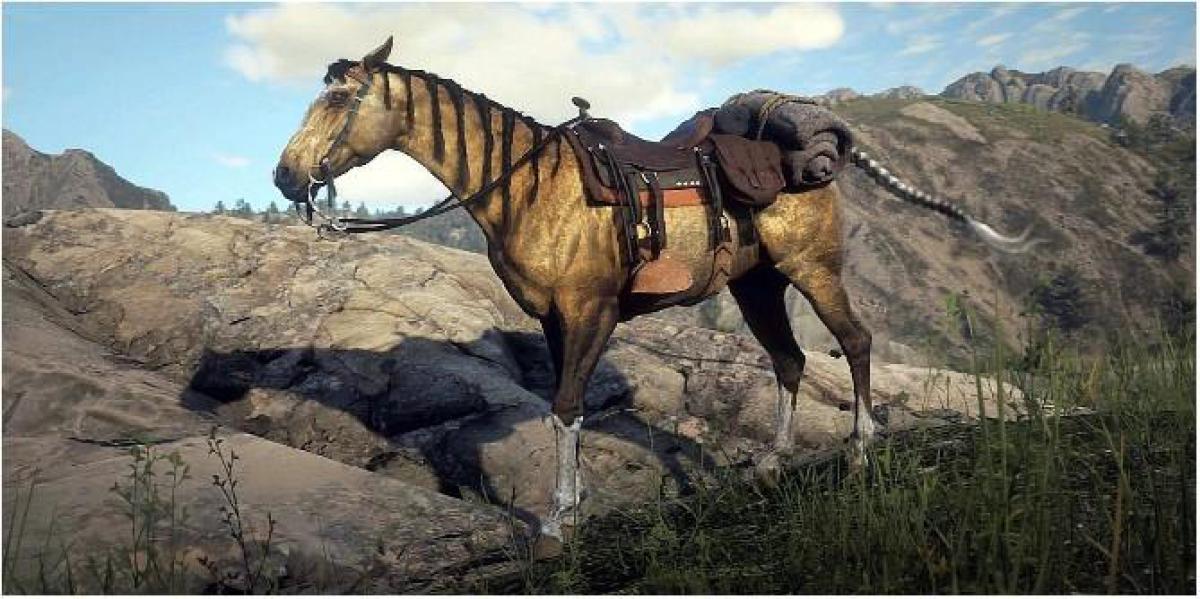 Red Dead Redemption 2: Tudo o que você precisa saber sobre a raça de cavalos turcomanos