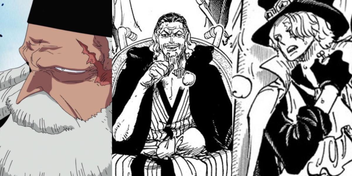 Revelado: Cinco Anciãos mataram rei em One Piece
