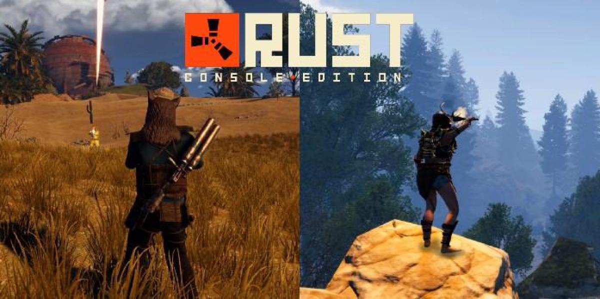 Rust: Como obter um início rápido na limpeza