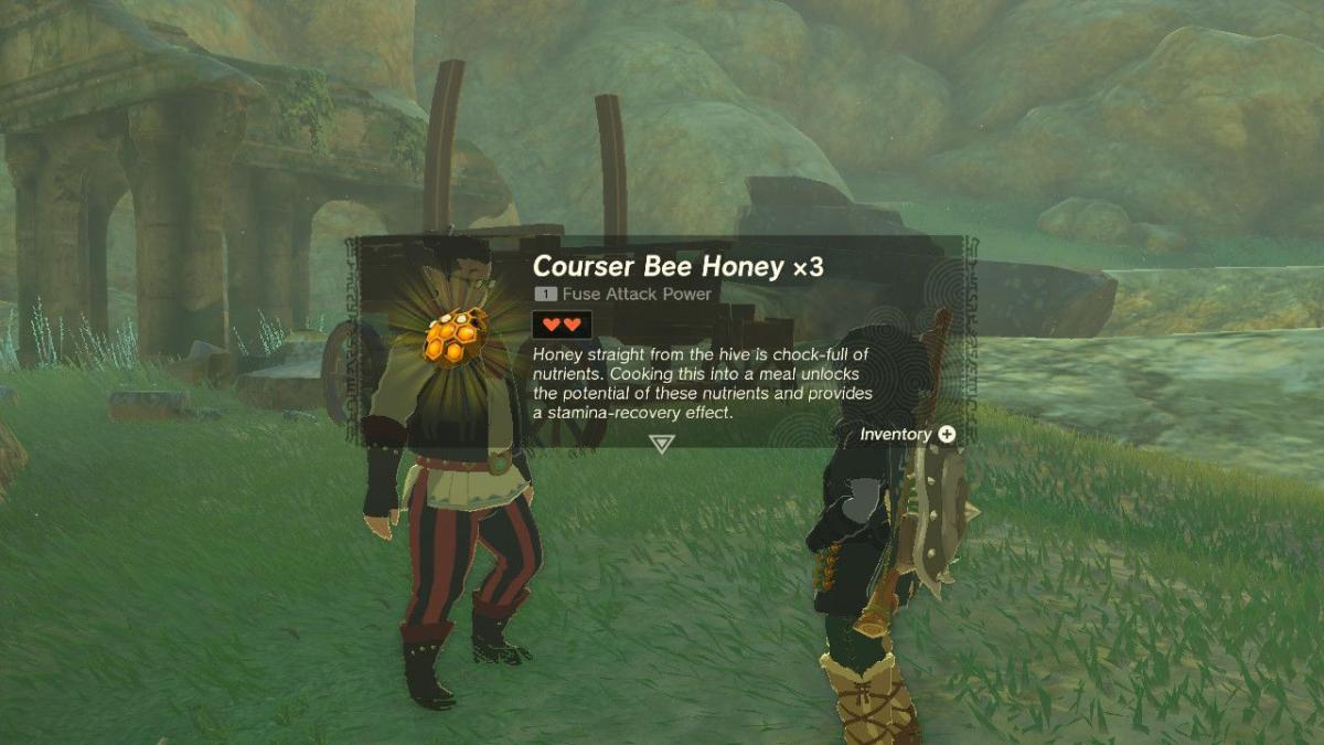 Zelda Tears of the Kingdom Hornists Dramatic Escape Quest Walkthrough Courser Bee Honey Reward