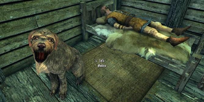 Skyrim: Por que Meeko é o seguidor de animais mais trágico do jogo