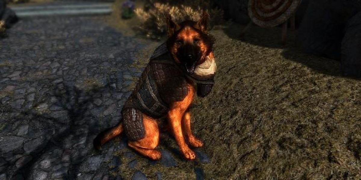 Skyrim SE Mod adiciona adorável companheiro de pastor alemão