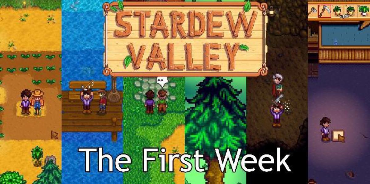 Stardew Valley Beginner Guide: O que fazer na sua primeira semana – dia a dia