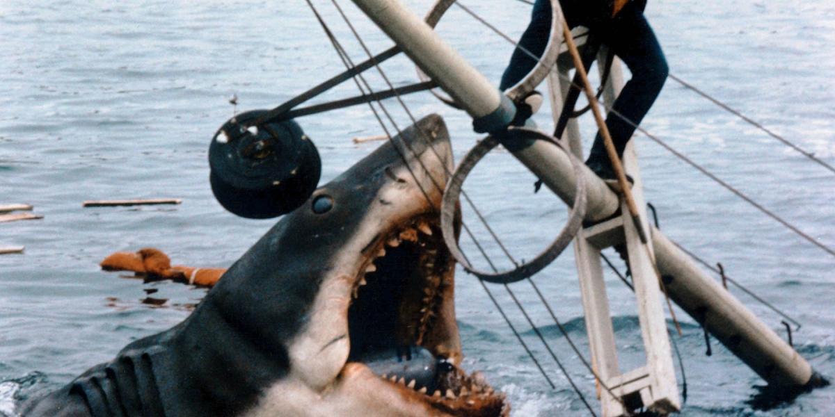 Steven Spielberg lamenta o papel que Jaws desempenhou na dizimação da população de tubarões