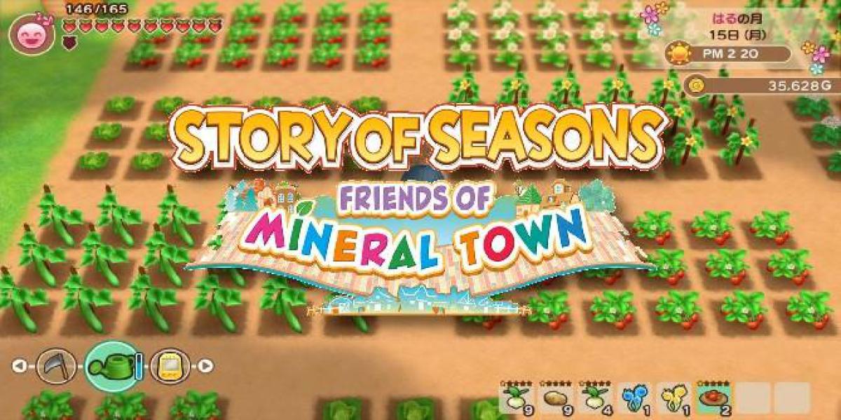 Story of Seasons: Friends of Mineral Town – Como obter sementes