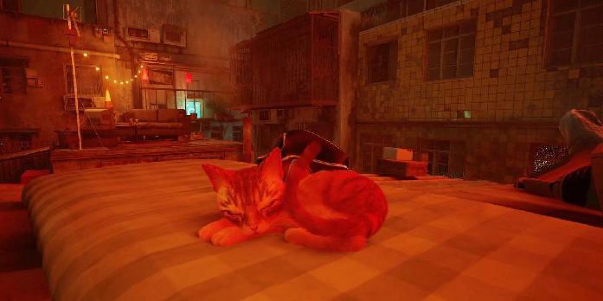 Stray apresenta o gato da vida real que inspirou o protagonista do jogo