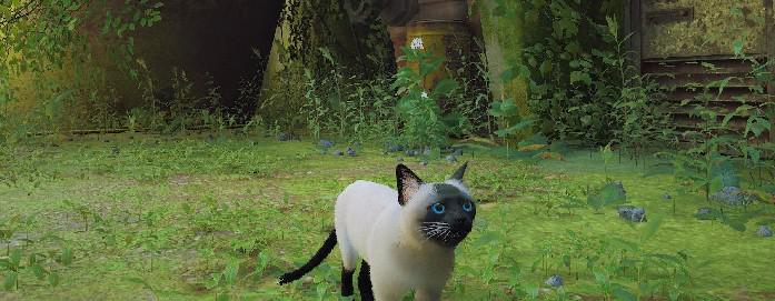 Stray Mod adiciona gato siamês ao jogo
