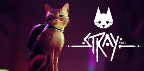 Stray quebra recorde no Steam interativo do Annapurna