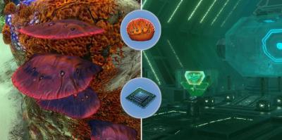 Subnautica Abaixo de Zero: Como Cultivar Coral de Mesa