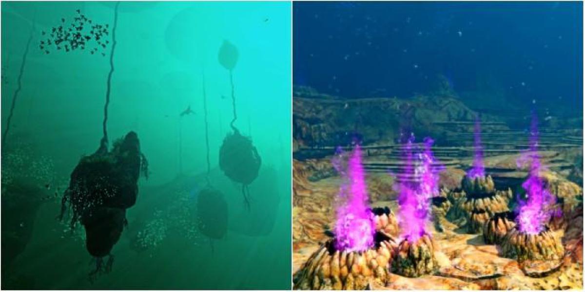 Subnautica: Abaixo de Zero – Todos os Biomas Subaquáticos e Seus Recursos (Incluindo Coral de Mesa)