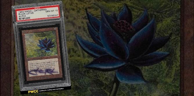 Super Expensive Magic: The Gathering Black Lotus Card quebra seu próprio recorde de leilão