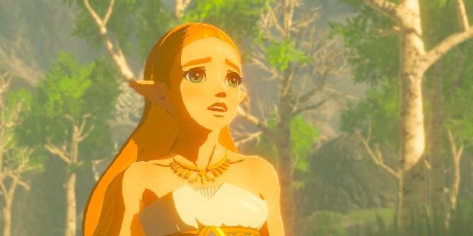 The Legend of Zelda: 10 razões pelas quais Zelda seria um protagonista melhor que Link