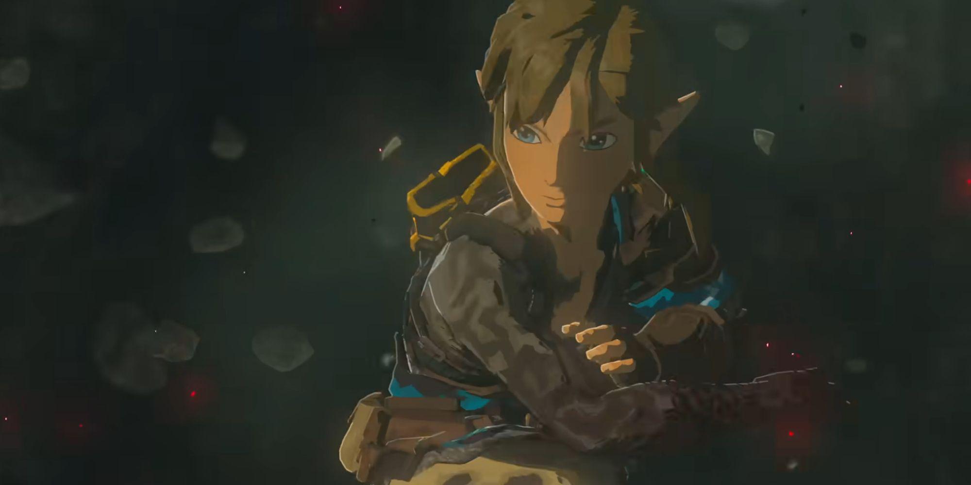 Link segurando seu braço enegrecido