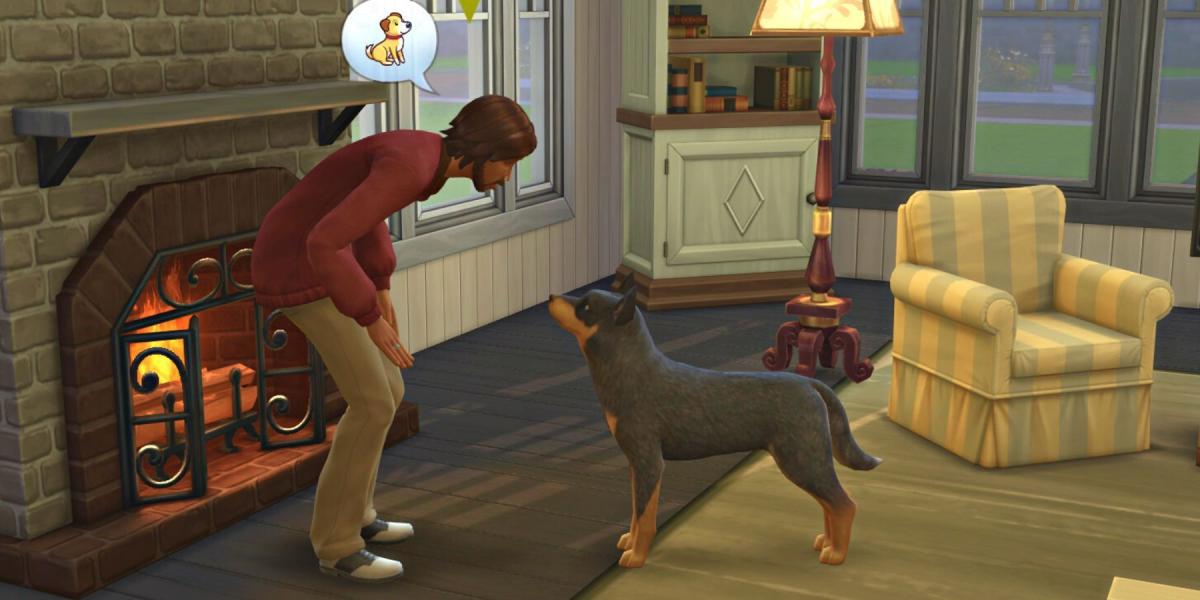 The Sims 4: Cães e Gatos – Como Treinar Animais de Estimação