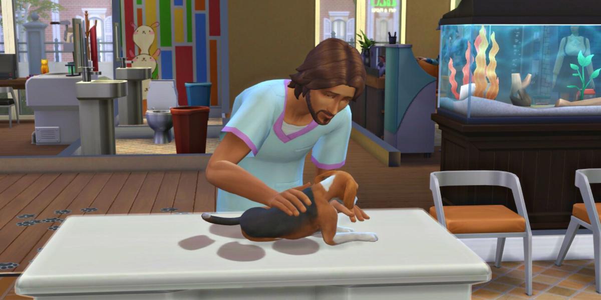 The Sims 4: Cats & Dogs – Como administrar uma clínica veterinária