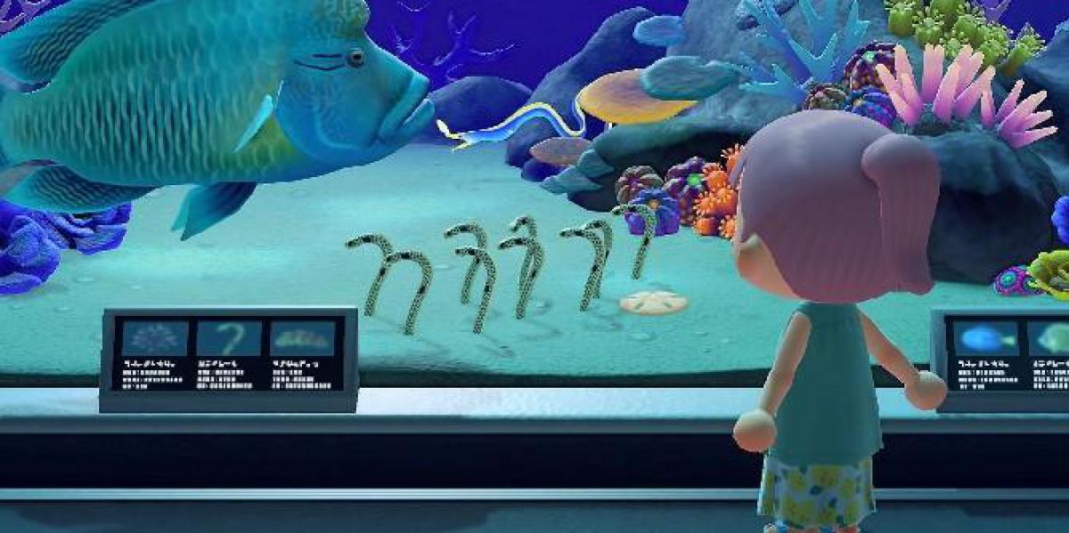 Todas as criaturas marinhas em Animal Crossing: New Horizons