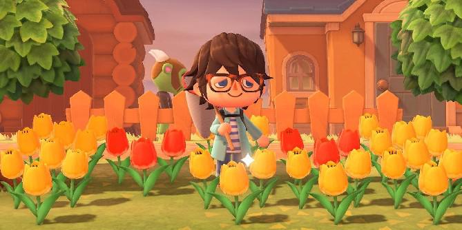 Todos os novos bugs adicionados ao Animal Crossing: New Horizons em maio