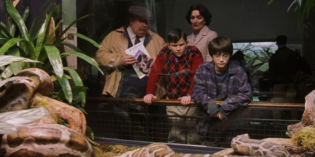 Vernon, Petunia e Dudley Dursley e Harry no zoológico em Harry Potter.