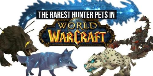World of Warcraft: 10 animais de estimação de caçador mais raros que podem ser obtidos