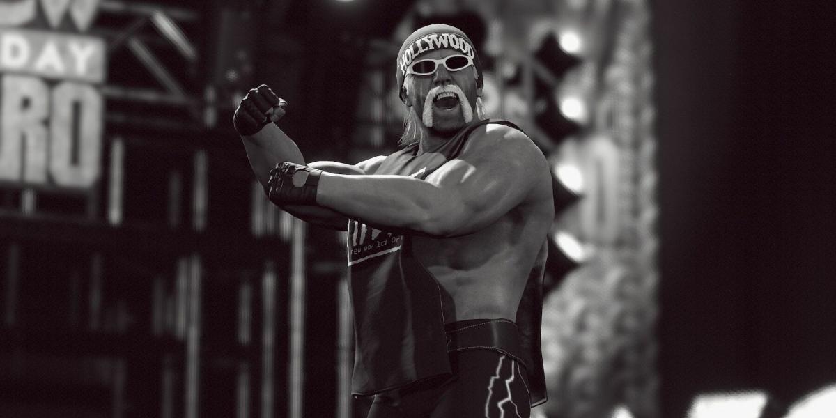 Visual Hollywood Hulk Hogan NWO